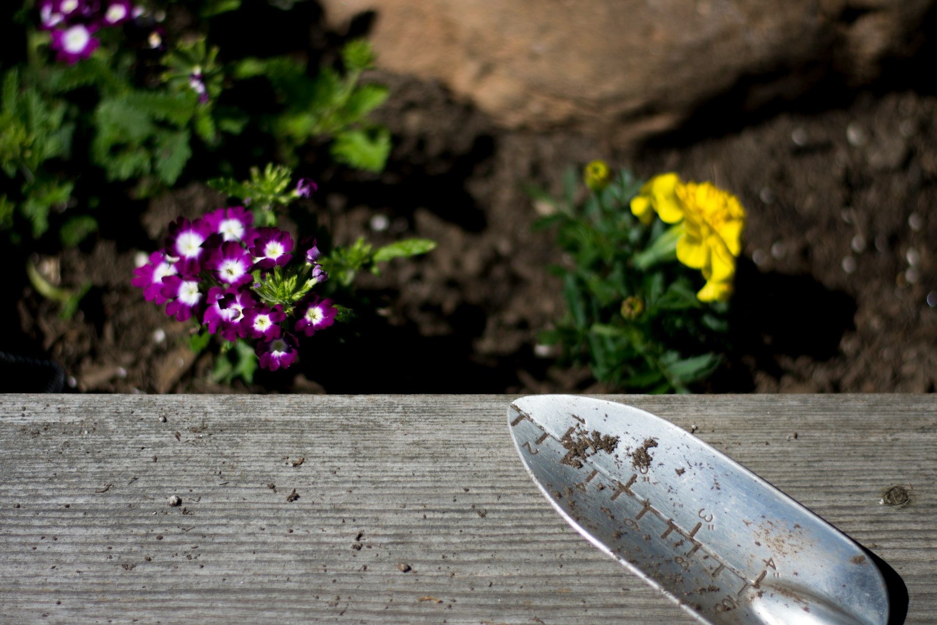 Complete Garden Planting